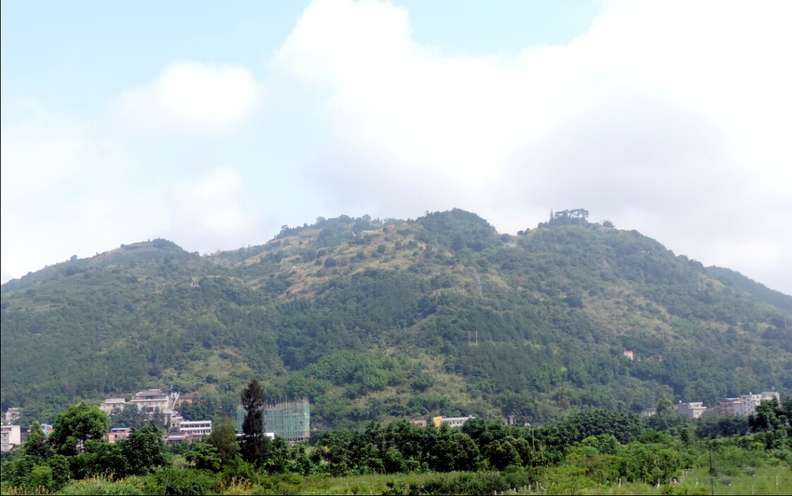 莲花山